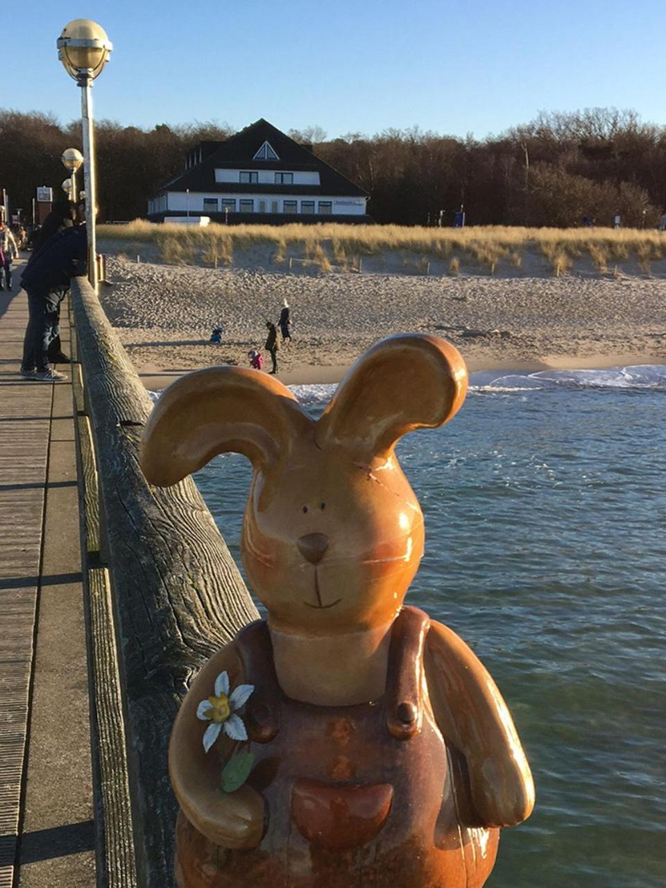 Hotel Ostseewoge Graal-Mueritz Exteriér fotografie